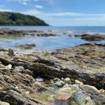 Explore the many rock pools on Castle Beach, Falmouth.